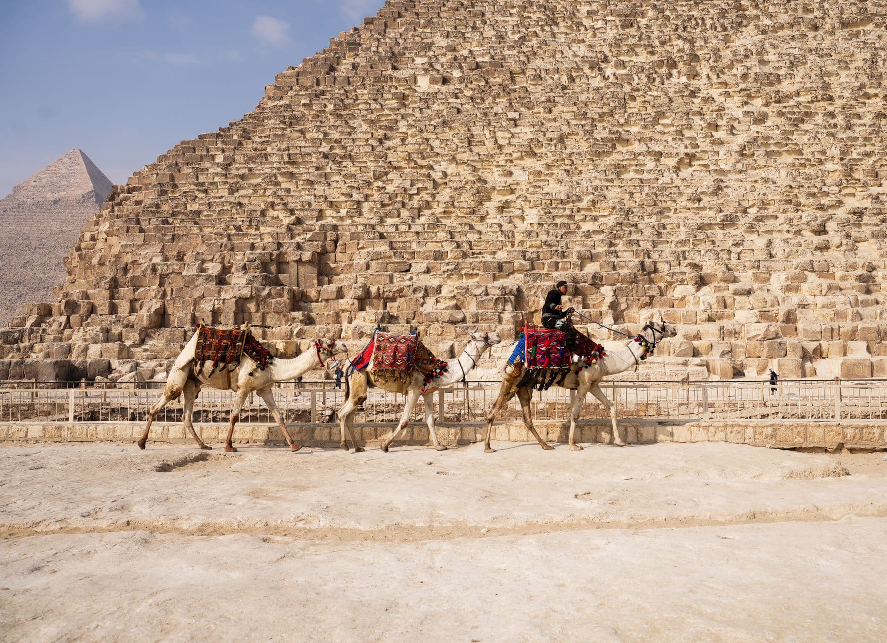 Camels with riders passing by the pyramids in Giza, Egypt, under a clear sky.