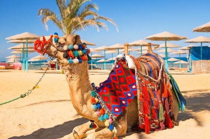 Discover Egypt in 2026: Make the Most of Your Private Tour with Magnificent Travel