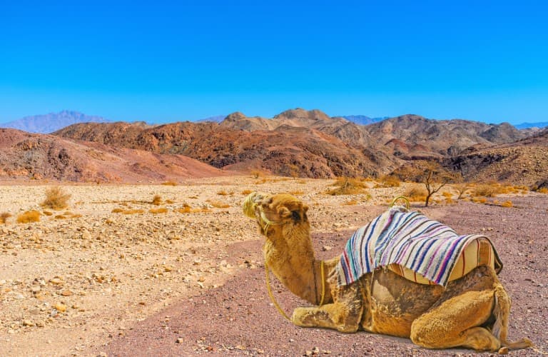 Wide landscape view of Dana Biosphere Reserve in Jordan featuring rugged mountains, desert valleys, and historic natural terrain representing a protected eco tourism and nature destination